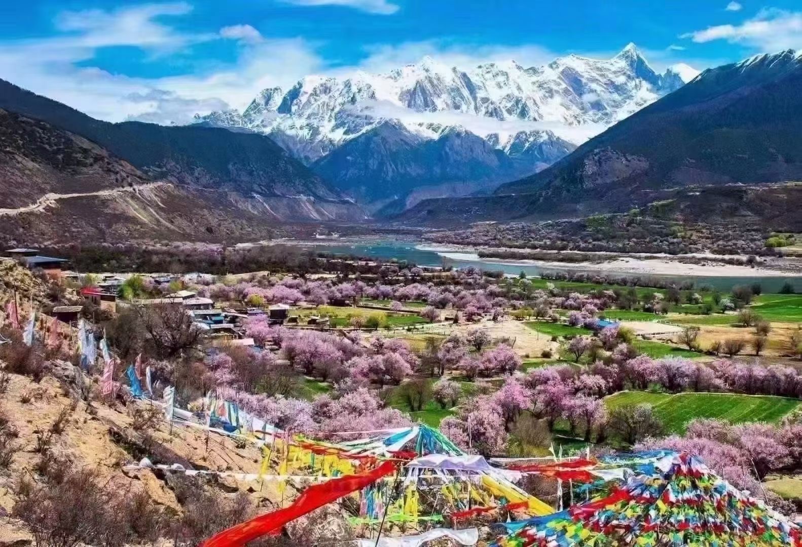 圣景9天8晚,拉薩、林芝、羊湖、日喀則、納木措